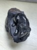 Animal Carving